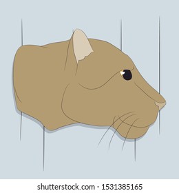 lioness portrait vector illustration, vector, color background