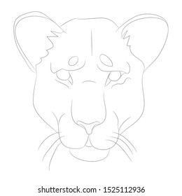 Lioness Portrait Vector Illustration Lines Drawing Stock Vector ...