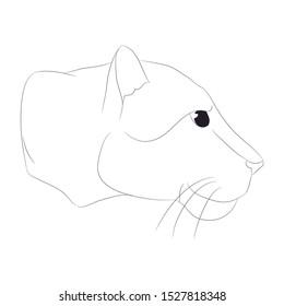 lioness portrait vector illustration, lines drawing, vector, white background