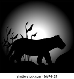 Lioness silhouetted against beam of moon black background