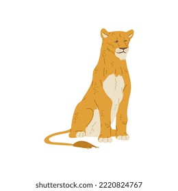 Lioness sitting, flat vector illustration isolated on white background. Wild African animal drawing. Concepts of zoo, safari and travel.