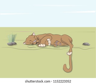 lioness sleeping on nature, around trees under blue sky, vector