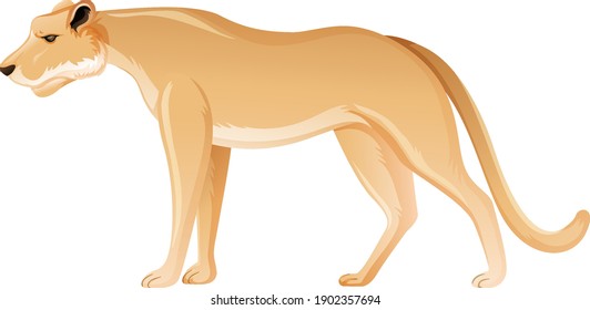 Lioness en posición de pie sobre ilustración de fondo blanco