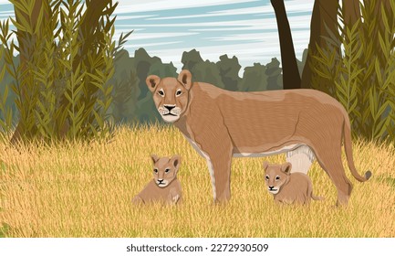 A lioness and two lion cubs are resting in the African savannah. African wild predators. Realistic vector landscape