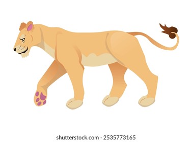 Una leona, Ilustración vectorial con un fondo sólido blanco de una fauna felina africana. Ilustración vectorial.