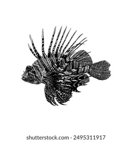 Lionfish hand drawing vector isolated on white background.