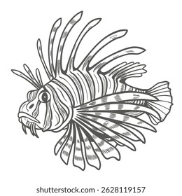 Lionfish Pterois Volitans Line Art Illustration