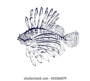 Lionfish (Pterois, zebrafish, firefish, turkeyfish or butterfly-cod). Ocean fish. Undersea world. Illustration 