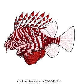 Lionfish. Venomous marine fish. Isolated on white background.