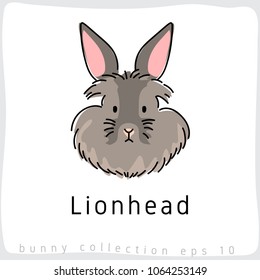 Free Free 80 Lionhead Rabbit Svg SVG PNG EPS DXF File