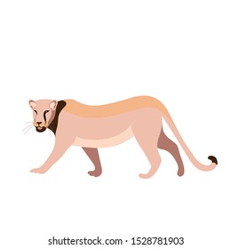 Lion-king. King of all beasts. African wild cat