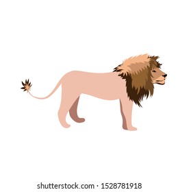 Lion-king. King of all beasts. African wild cat