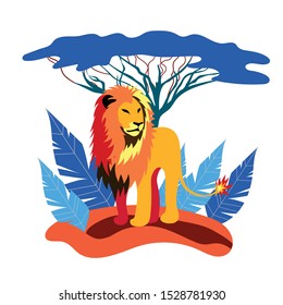 Lion-king. King of all beasts. African wild cat