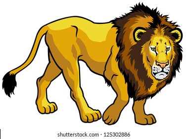 lion,panthera leo,side view picture isolated on white background,vector illustration