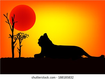 Lions in Africa At Sundown.vector
