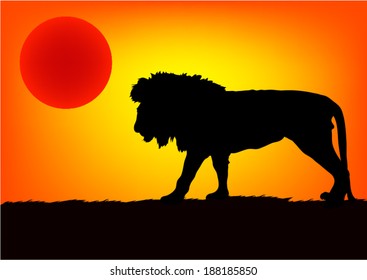 Lions in Africa At Sundown.vector