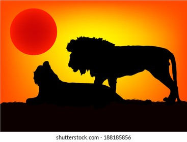 Lions in Africa At Sundown.vector