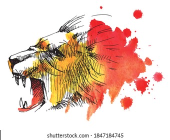 Lion's head. An angry lion with an open mouth
