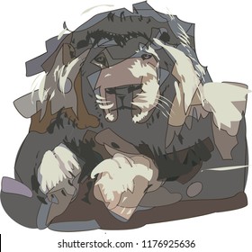 lion's head hand-drawn vector illustration
