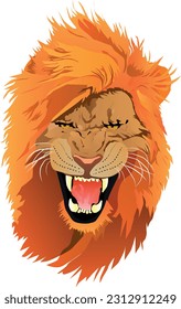 The lion's head with luxuriant mane and snarl