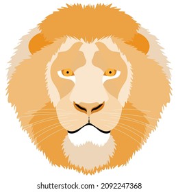 Lion's head on a white background. An isolated object. Design for the print.