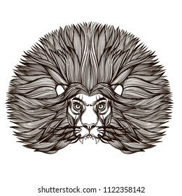 Lion's head. Outline vector illustration isolated on white background for tattoos, posters, printing on T-shirts and other items.