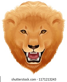 Lions head white background illustration