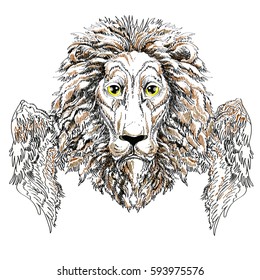   lion's head with wings , vector illustration isolated on white background