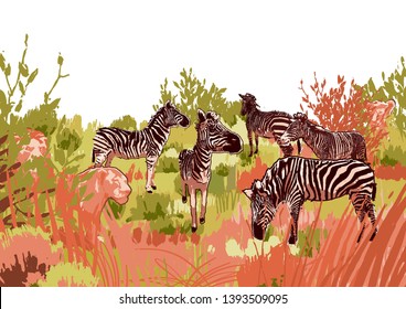 Lions hunting scene on a zebras surrounded by steppe landscape in calm colors. Vector design drawn in the technique of rough brush