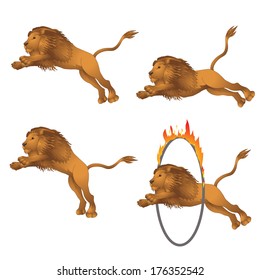 Lions in the jump. vector illustration