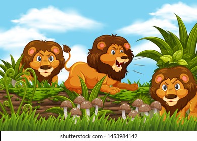 Lions in jungle scene illustration