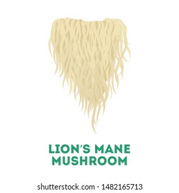 Lion's mane mushroom. Healthy natural fungus. Botany concept. Isolated vector illustration in flat style