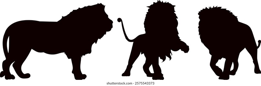 lions with mane silhouette on white background vector