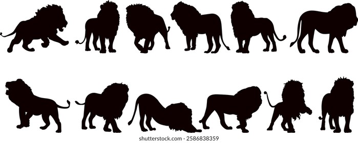 lions with manes in different poses set black silhouette, vector