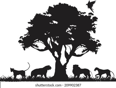 Lions pride under tree