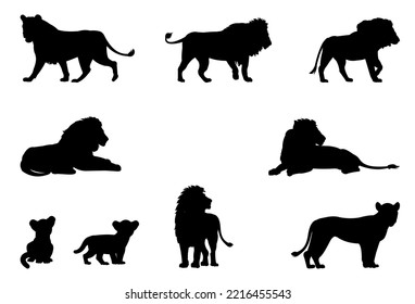 Los leones están listos. Foto de silueta. Depredador de la sabana africana. Peligroso animal en condiciones naturales. Aislado sobre fondo blanco. Vector