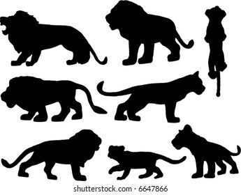 lions silhouette vector