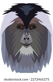 Lion-tailed macaque. The face of the monkey is depicted in vector style. A vivid image of a primate. Logo, illustration on a white background.