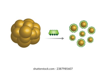 Lipid emulsification, Fat Molecule, Lipid droplets, Lipid Digestion. Large fat globules are emulsified into small fat droplets. Bile salt. Gallbladder. Micelle formation. Vector Illustration.