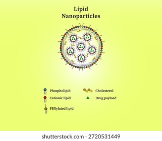 Lipid-Nanopartikel oder LNPs-Vektordesign, das die Lipidzusammensetzung des Nanopartikels und seine Fähigkeit zur Einkapselung von Arzneimittelfracht zeigt