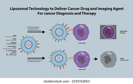 
Liposomal drug delivery to cancer, multi-functionalized liposome and its application for cancer diagnosis and therapy