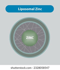 Liposomal form of Zinc, supplement of zinc enclosed by Liposomal form