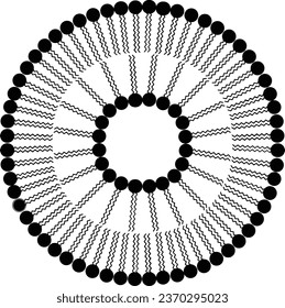 Liposome with Phospholipid Bilayer Membrane