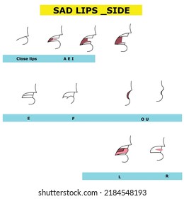 Lips chart vectors for lip-sync  can be used for character animate and animate. for character lip sync and expressions .these r side lips sad