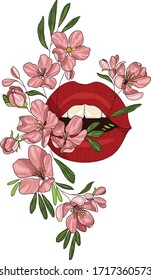 Dibujo de levas y flores, ilustración vectorial en colores.