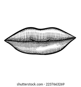Lips or kiss vector illustration. Human biology, organs anatomy illustration. engraved hand drawn in old sketch and vintage style.