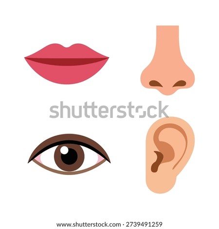 Lips, nose, eye and ear icons vector set, facial features graphics for beauty salon poster, anatomy class, healthcare education