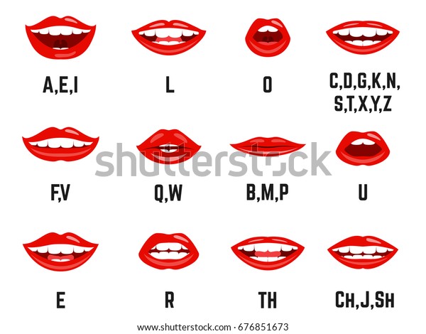 唇の音の発音表 口の形が正しい位置学習 明瞭度 言語器官の動き 白い背景にベクターフラットスタイルイラスト のベクター画像素材 ロイヤリティフリー