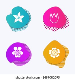 Liquid colored badges. Flower icons set. Primula, viola, tulip lily. Spring and summer flowers. Floral modern symbols. Vector isolated