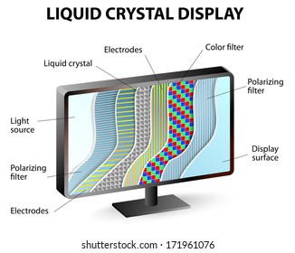 Liquid Crystals Do Not Generate Light On Their Own They Manipulate The Polarity Of Incoming Light. 